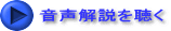 𒮂iȂ̉̂݁j